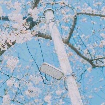 开元娱乐游戏截图